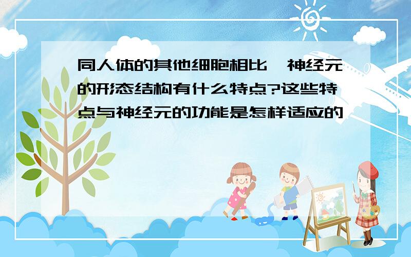 同人体的其他细胞相比,神经元的形态结构有什么特点?这些特点与神经元的功能是怎样适应的