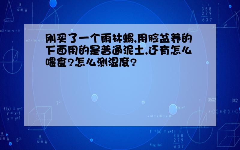 刚买了一个雨林蝎,用脸盆养的下面用的是普通泥土,还有怎么喂食?怎么测湿度?