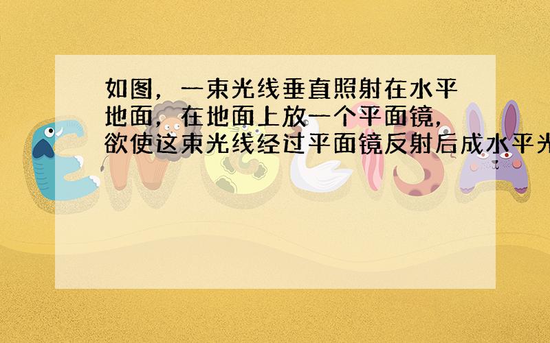 如图，一束光线垂直照射在水平地面，在地面上放一个平面镜，欲使这束光线经过平面镜反射后成水平光线，则平面镜与地面所成锐角的