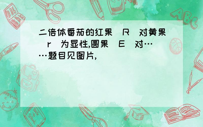 二倍体番茄的红果(R)对黄果(r)为显性,圆果(E)对……题目见图片,