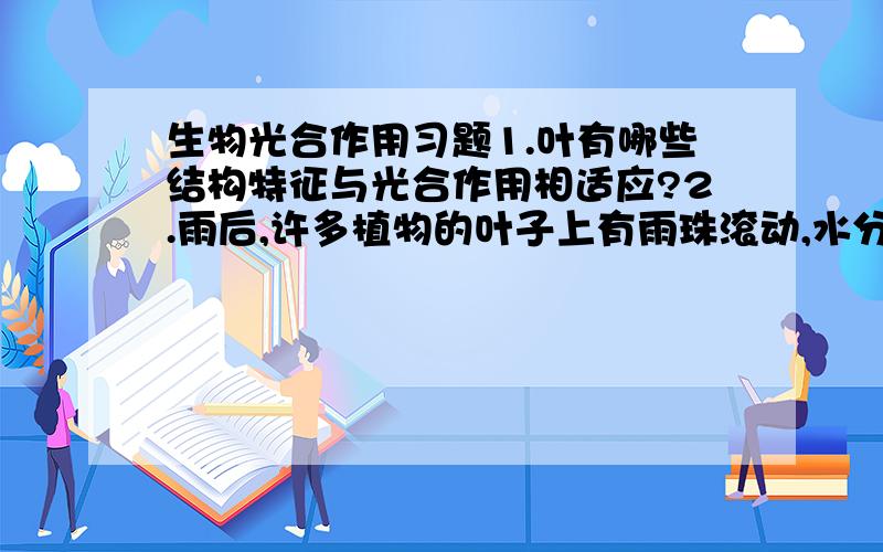 生物光合作用习题1.叶有哪些结构特征与光合作用相适应?2.雨后,许多植物的叶子上有雨珠滚动,水分为什么没有渗到叶片内部?