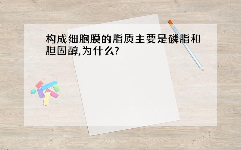 构成细胞膜的脂质主要是磷脂和胆固醇,为什么?