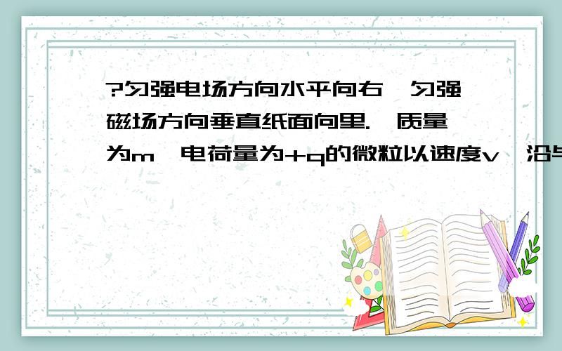 ?匀强电场方向水平向右,匀强磁场方向垂直纸面向里.一质量为m、电荷量为+q的微粒以速度v,沿与磁...