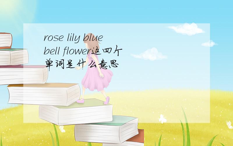 rose lily bluebell flower这四个单词是什么意思