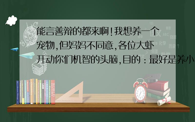 能言善辩的都来啊!我想养一个宠物,但妈妈不同意,各位大虾开动你们机智的头脑,目的：最好是养小狗,如果不行的话,能达到养小