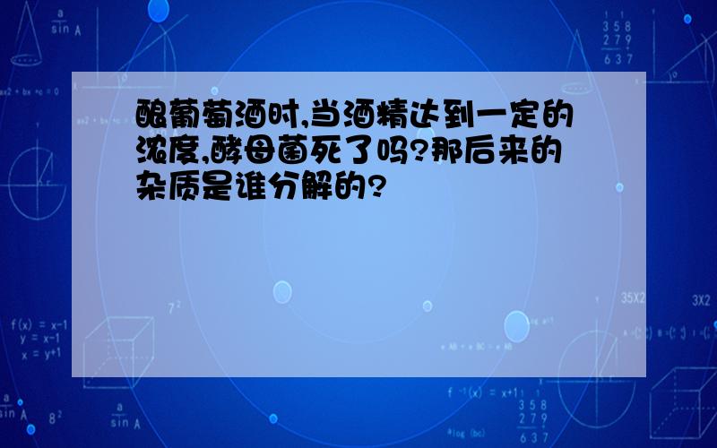 酿葡萄酒时,当酒精达到一定的浓度,酵母菌死了吗?那后来的杂质是谁分解的?