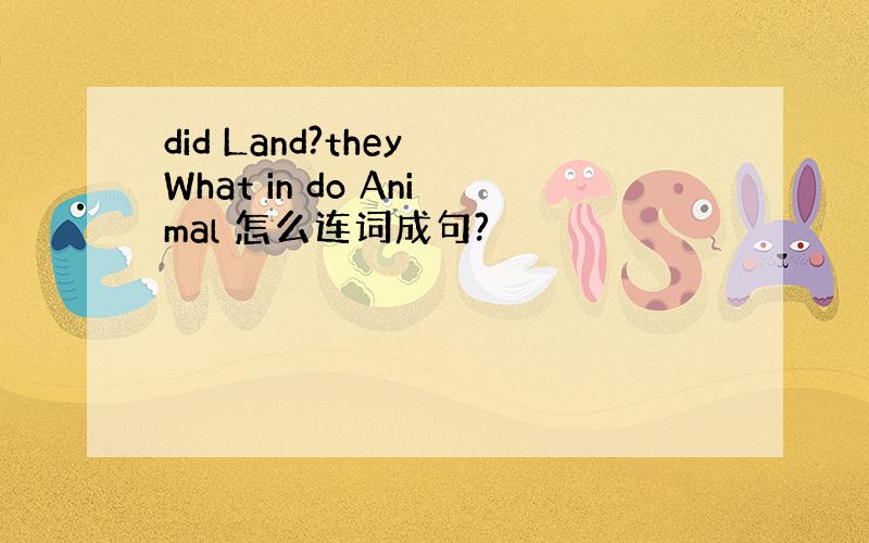 did Land?they What in do Animal 怎么连词成句?