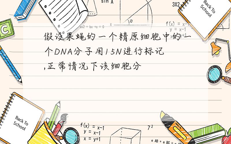 假设果蝇的一个精原细胞中的一个DNA分子用15N进行标记,正常情况下该细胞分