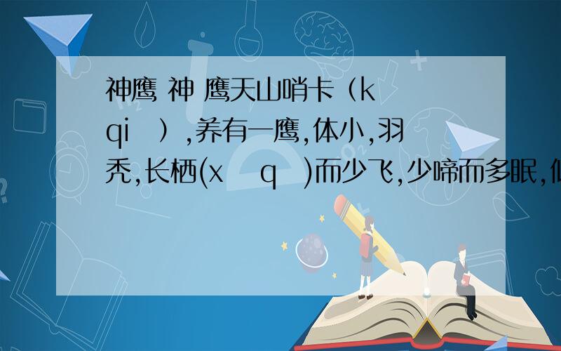 神鹰 神 鹰天山哨卡（kǎ qiǎ）,养有一鹰,体小,羽秃,长栖(xī qī)而少飞,少啼而多眠,似无搏击云天之志.这年