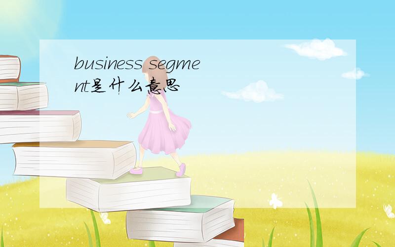 business segment是什么意思