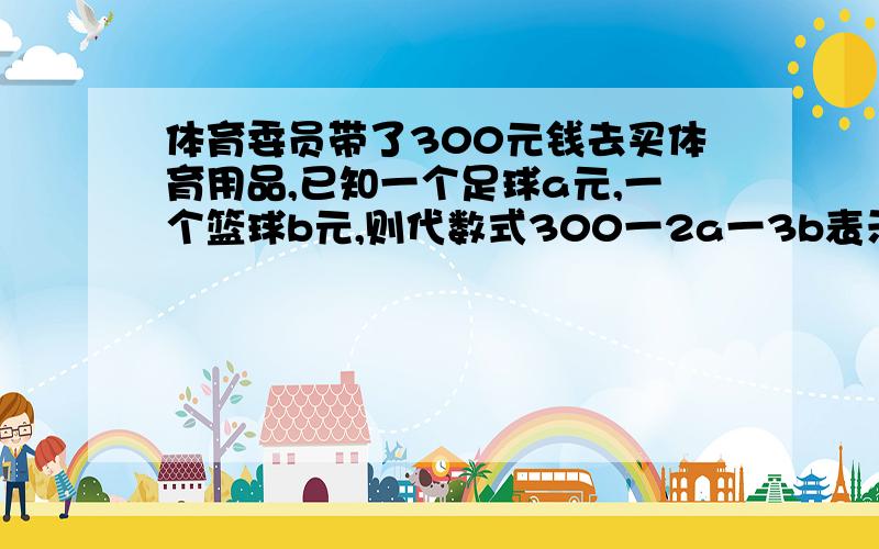 体育委员带了300元钱去买体育用品,已知一个足球a元,一个篮球b元,则代数式300一2a一3b表示的量为多少