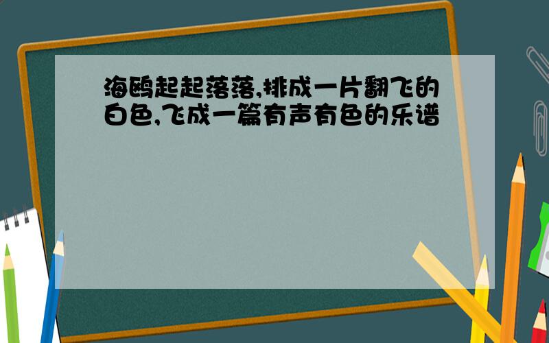 海鸥起起落落,排成一片翻飞的白色,飞成一篇有声有色的乐谱