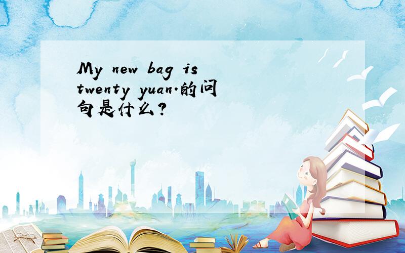 My new bag is twenty yuan.的问句是什么?