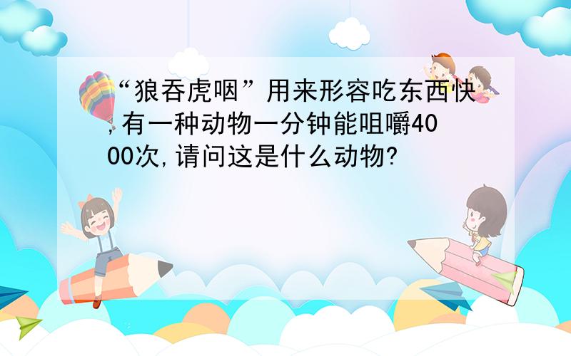 “狼吞虎咽”用来形容吃东西快,有一种动物一分钟能咀嚼4000次,请问这是什么动物?