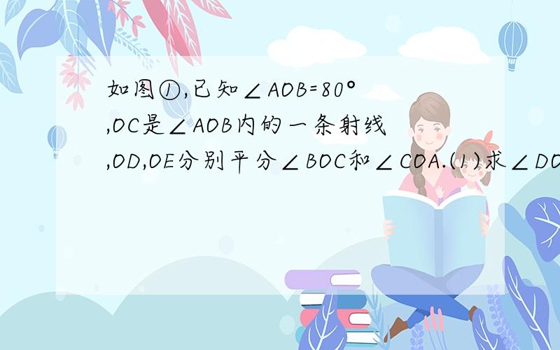 如图①,已知∠AOB=80°,OC是∠AOB内的一条射线,OD,OE分别平分∠BOC和∠COA.(1)求∠DOE的度数