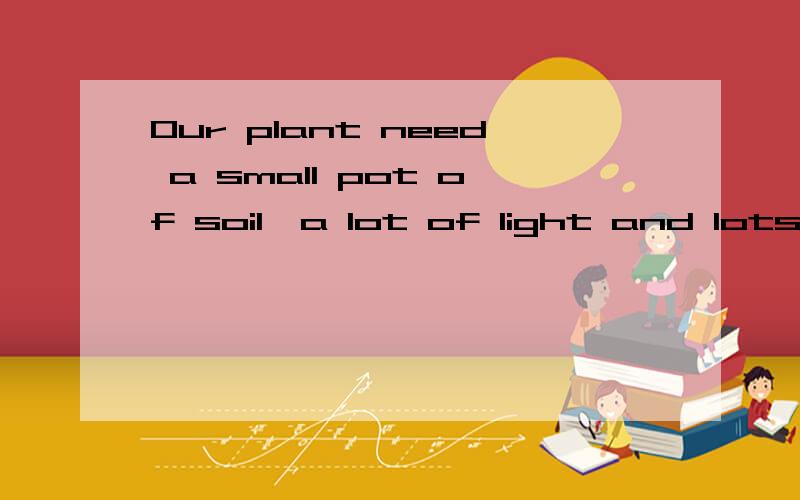 Our plant need a small pot of soil,a lot of light and lots o