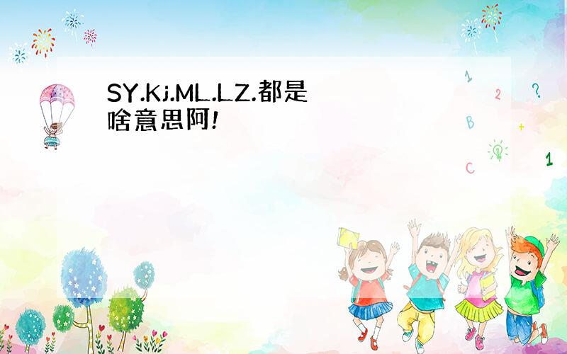 SY.Kj.ML.LZ.都是啥意思阿!