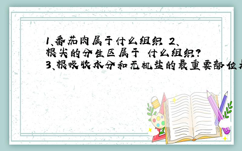 1、番茄肉属于什么组织 2、根尖的分生区属于 什么组织?3、根吸收水分和无机盐的最重要部位是什么?植物生