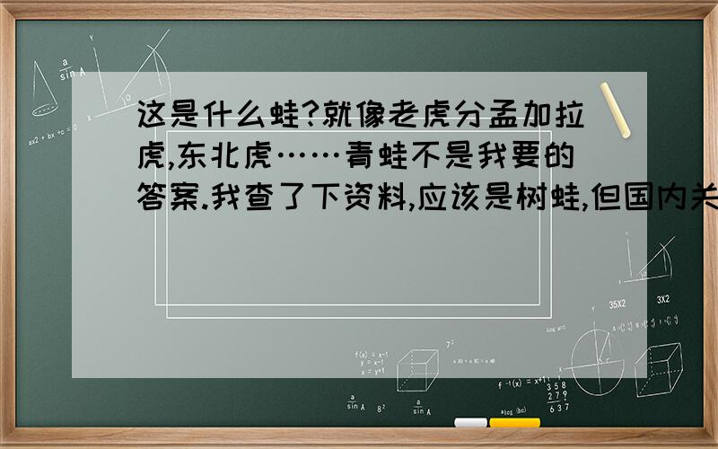 这是什么蛙?就像老虎分孟加拉虎,东北虎……青蛙不是我要的答案.我查了下资料,应该是树蛙,但国内关于这方面的资料是在太少.