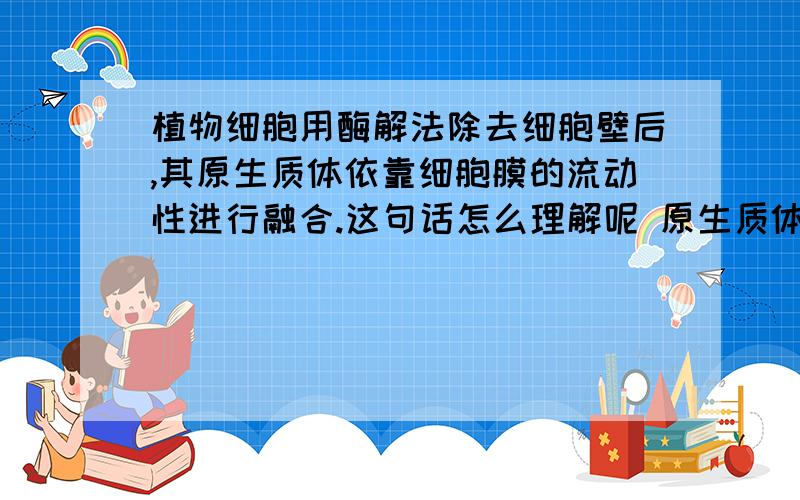 植物细胞用酶解法除去细胞壁后,其原生质体依靠细胞膜的流动性进行融合.这句话怎么理解呢 原生质体为什么要进行融合?