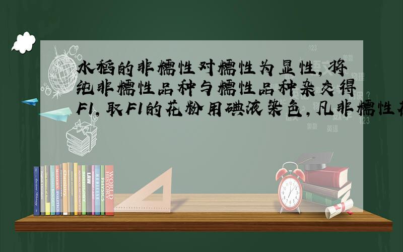 水稻的非糯性对糯性为显性，将纯非糯性品种与糯性品种杂交得F1，取F1的花粉用碘液染色，凡非糯性花粉呈蓝色，糯性花粉呈棕红