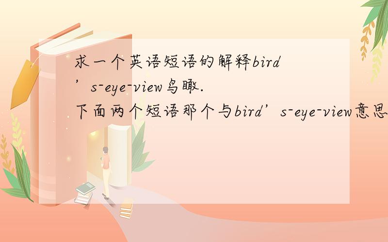 求一个英语短语的解释bird’s-eye-view鸟瞰.下面两个短语那个与bird’s-eye-view意思更接近?vi