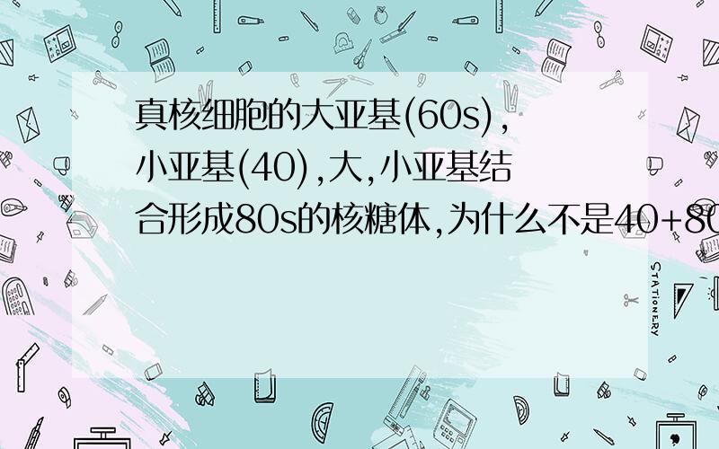 真核细胞的大亚基(60s),小亚基(40),大,小亚基结合形成80s的核糖体,为什么不是40+80的关系?