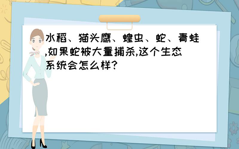 水稻、猫头鹰、蝗虫、蛇、青蛙,如果蛇被大量捕杀,这个生态系统会怎么样?