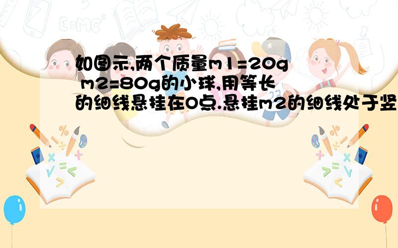 如图示,两个质量m1=20g m2=80g的小球,用等长的细线悬挂在O点.悬挂m2的细线处于竖直状态,悬挂m1的细线处于