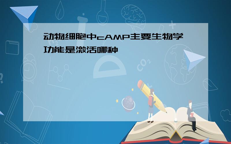 动物细胞中cAMP主要生物学功能是激活哪种酶