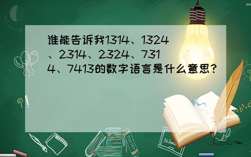 谁能告诉我1314、1324、2314、2324、7314、7413的数字语言是什么意思?