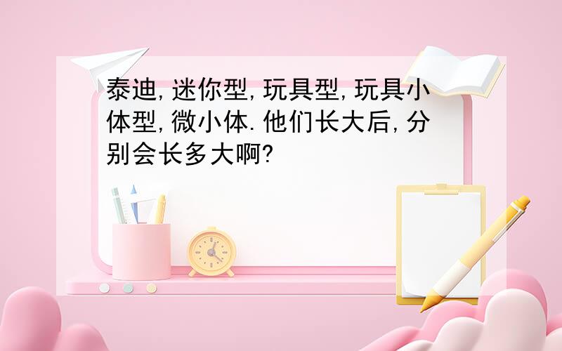 泰迪,迷你型,玩具型,玩具小体型,微小体.他们长大后,分别会长多大啊?