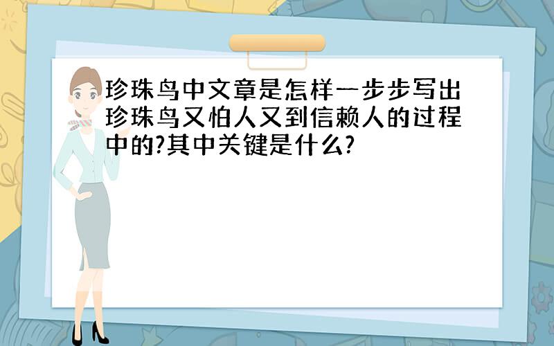 珍珠鸟中文章是怎样一步步写出珍珠鸟又怕人又到信赖人的过程中的?其中关键是什么?