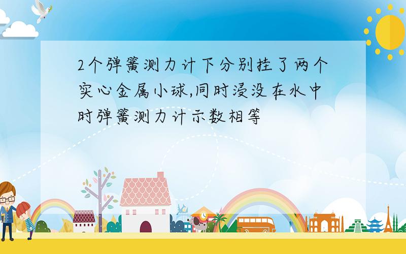 2个弹簧测力计下分别挂了两个实心金属小球,同时浸没在水中时弹簧测力计示数相等