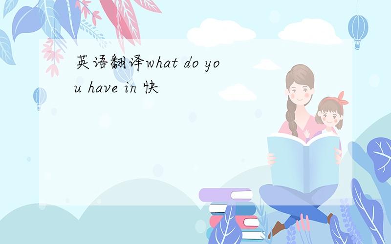 英语翻译what do you have in 快