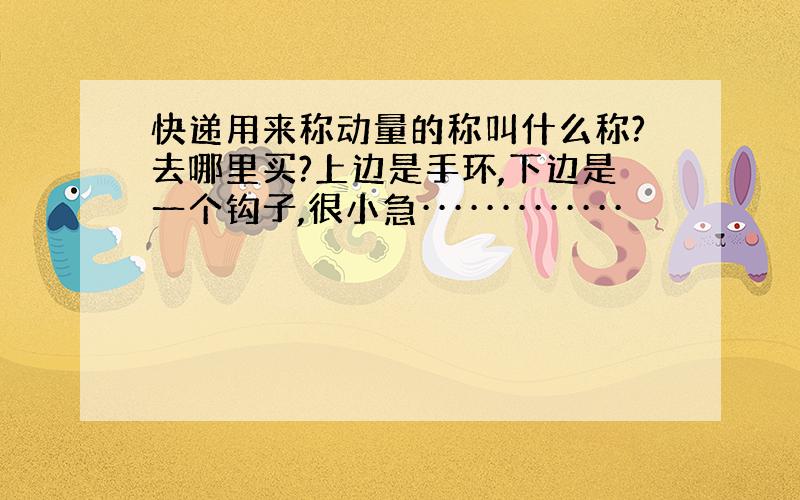 快递用来称动量的称叫什么称?去哪里买?上边是手环,下边是一个钩子,很小急·············