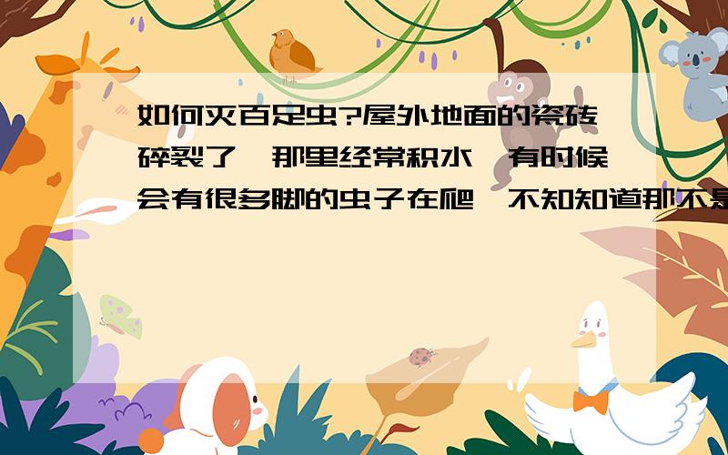 如何灭百足虫?屋外地面的瓷砖碎裂了,那里经常积水,有时候会有很多脚的虫子在爬,不知知道那不是毛毛虫,不晓得是蜈蚣还是什么