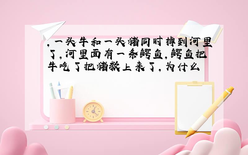 ,一头牛和一头猪同时掉到河里了,河里面有一条鳄鱼,鳄鱼把牛吃了把猪救上来了,为什么