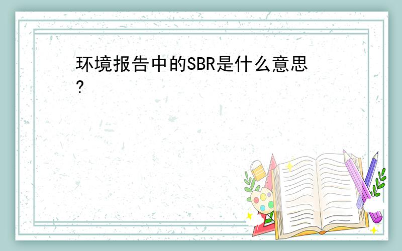 环境报告中的SBR是什么意思?