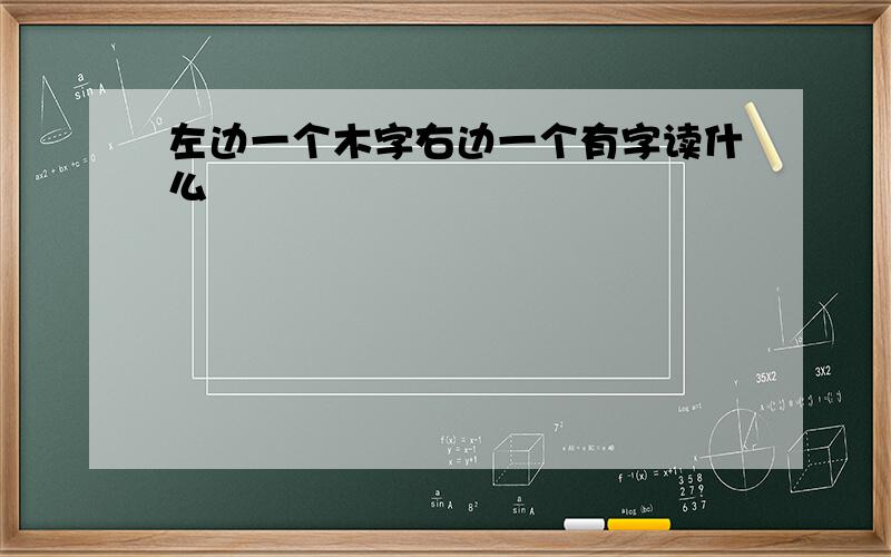 左边一个木字右边一个有字读什么