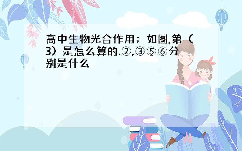 高中生物光合作用；如图,第（3）是怎么算的.②,③⑤⑥分别是什么