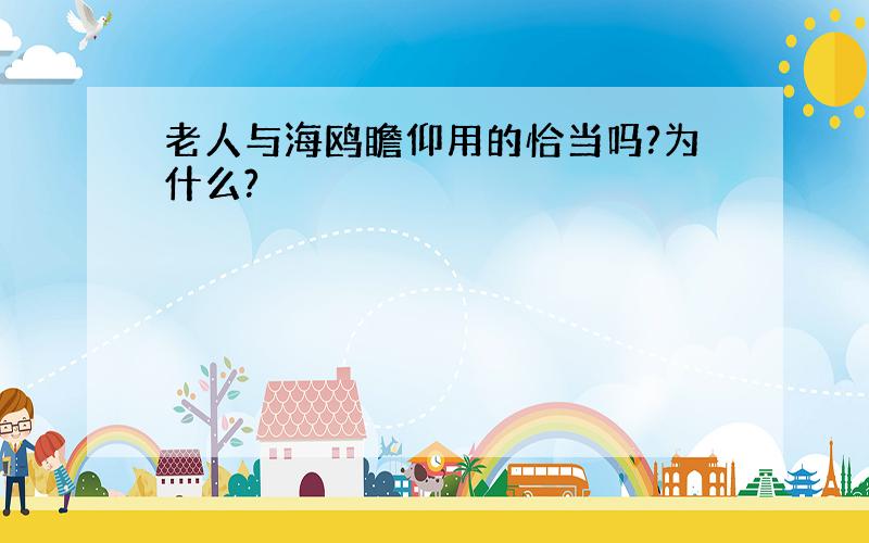 老人与海鸥瞻仰用的恰当吗?为什么?