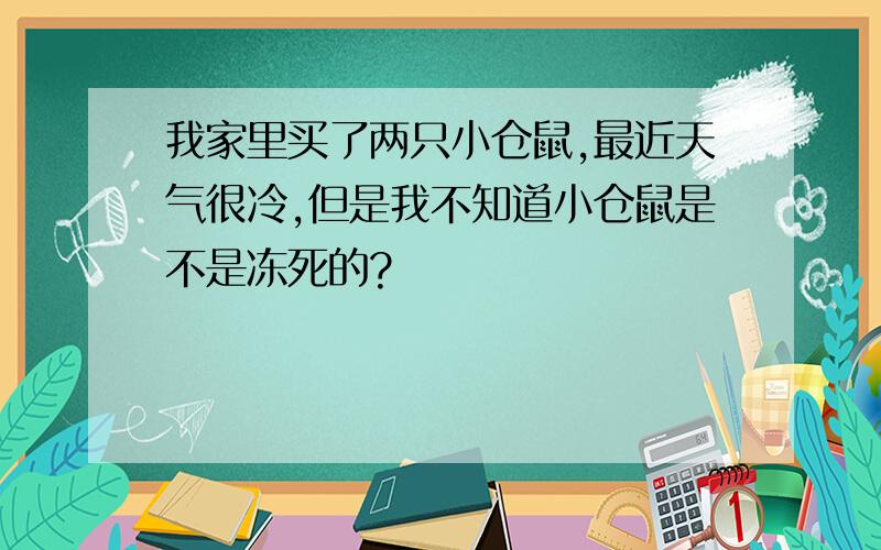 我家里买了两只小仓鼠,最近天气很冷,但是我不知道小仓鼠是不是冻死的?