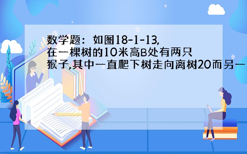 数学题：如图18-1-13,在一棵树的10米高B处有两只猴子,其中一直爬下树走向离树20而另一只爬到树顶D后直扑