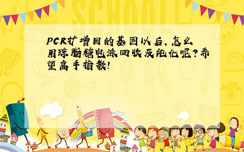 PCR扩增目的基因以后,怎么用琼脂糖电泳回收及纯化呢?希望高手指教!