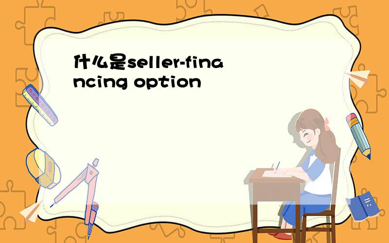 什么是seller-financing option