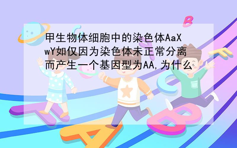 甲生物体细胞中的染色体AaXwY如仅因为染色体未正常分离而产生一个基因型为AA,为什么