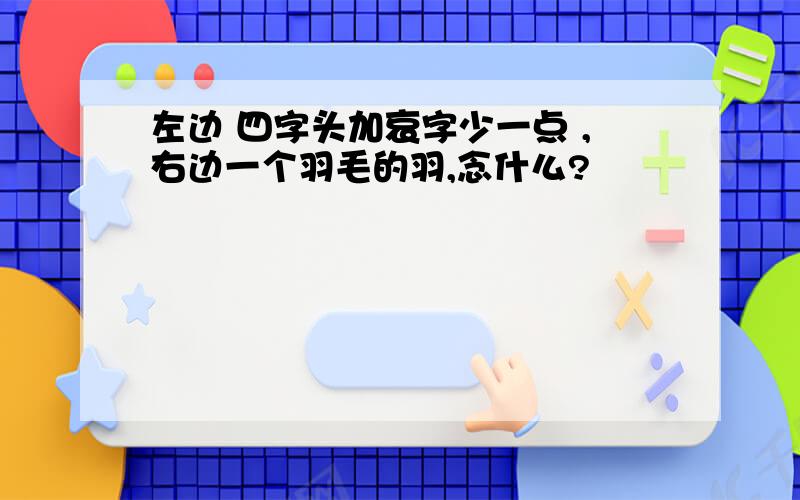 左边 四字头加哀字少一点 ,右边一个羽毛的羽,念什么?