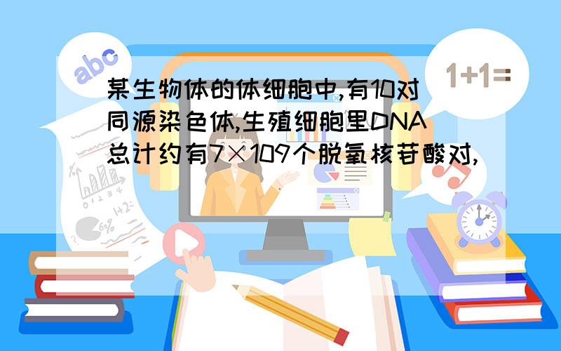 某生物体的体细胞中,有10对同源染色体,生殖细胞里DNA总计约有7×109个脱氧核苷酸对,