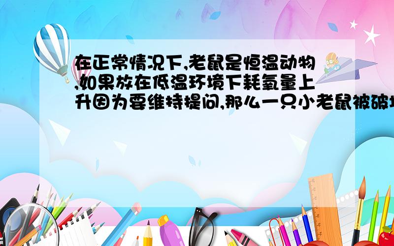 在正常情况下,老鼠是恒温动物,如果放在低温环境下耗氧量上升因为要维持提问,那么一只小老鼠被破坏了下丘脑,将它放在零摄氏度